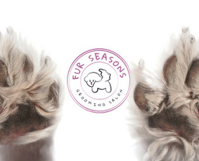 Grafikos dizaineriai - Vizualinis identitetas Logotipų kūrimas - 1