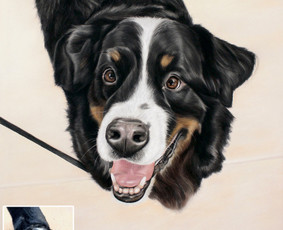 Dailė, menai, keramika - Portretai iš nuotraukų: pastelė, grafitas, šaržai - 3