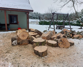Arboristo paslaugos: medžių pjovimas/genėjimas / Tomas Damulis / Darbų pavyzdys ID 4187513