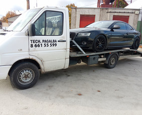 Traliukas Paslaugos Šiauliai ir visa Lietuva / Darius / Darbų pavyzdys ID 4187951