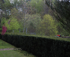 Gyvatvorių karpymas - Gyvatvorių karpymas, vaismedžių/medžių genėjimas, šienavimas - 3