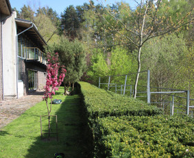 Gyvatvorių karpymas - Gyvatvorių karpymas, vaismedžių/medžių genėjimas, šienavimas - 2