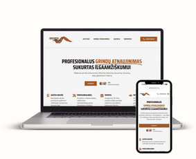 Interneto svetainių kūrimas - Interneto svetainių kūrimas ir web dizainas - 4