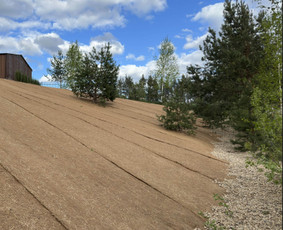 Aplinkos tvarkymas, apželdinimas - Trinkelių ir dekoratyvinių takelių klojimas - 1