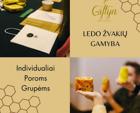 Kitos laisvalaikio paslaugos - Kūrybinė, ugdymo(si) erdvė - 3