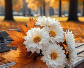 Ezoterikai - Ezoteriko pagalba - 2