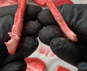 Liofilizavimas, džiovinimas šaltyje - Džiovinimas šaltyje - 1