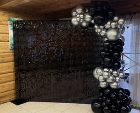 Nuomos paslaugos - Foto sienos nuoma - 1