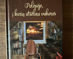 Kruopščiai. Sklandžiai. Laiku. / Kalbos redaktorė Sandra / Darbų pavyzdys ID 4190231