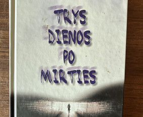 Kruopščiai. Sklandžiai. Laiku. / Kalbos redaktorė Sandra / Darbų pavyzdys ID 4190237