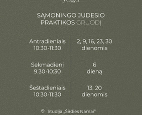 Joga, jogos treneriai - Joga-sąmoningo judesio praktika. Gyvai / online / įmonėms - 2