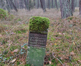 Matininkai, geodezininkai - Žemės sklypų kadastriniai (geodeziniai) matavimai - 3
