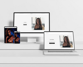 Paslaugos verslui - Internetinių parduotuvių kūrimas ir atnaujinimas, Seo - 3