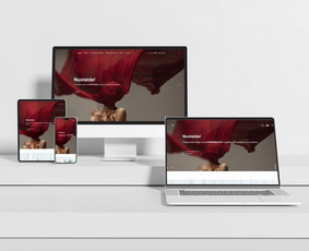 Paslaugos verslui - Internetinių parduotuvių kūrimas ir atnaujinimas, Seo - 4