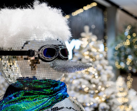 Dekoracijų nuoma - Kalėdinių Dekoracijų Nuoma - 2