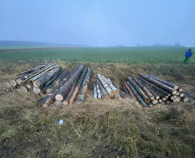 Kitos kategorijos - Perku Krumus, Valau griovius bei miškus - 2