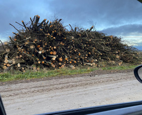 Kitos kategorijos - Perku Krumus, Valau griovius bei miškus - 3