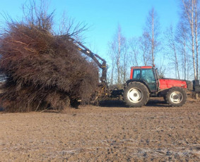 Kitos kategorijos - Perku Krumus, Valau griovius bei miškus - 4