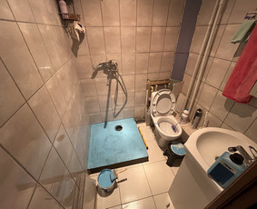 Meistras į namus, apdailos darbai, suvirinimas / Linas / Darbų pavyzdys ID 4192261