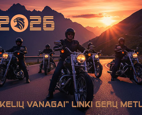 Internetas, IT - Grafinis dizainas, vizitinės, logo, plakatai, baneriai, Di - 2