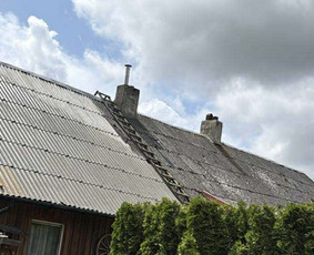 Statybos, apdaila - Plauname stogus, fasadus, trinkeles - 3