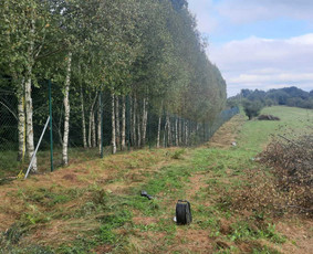 Statybos, apdaila - Tinklinių ir segmentinių tvorų montavimas - 1