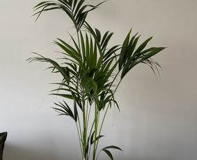 Valymo paslaugos - Bandomasis valymas su 30% nuolaida. Kainos nuo 1€ kv.m. - 1