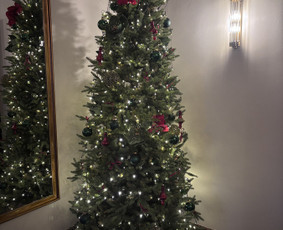 Skubus elektriko iškvietimas - Elektros darbai - 1