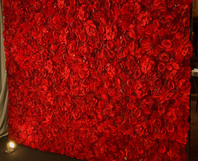 Šventinės įrangos nuoma - Foto sienelės nuoma. Šventinės įrangos ir dekoracijų nuoma. - 4