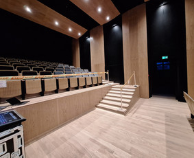 Baldų gamyba - Korpusinių nestandartinių baldų ir interjero elmentų gamyba - 1