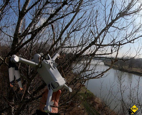 Kitos kategorijos - Dronų/augintinių iškėlimas iš medžių - 1