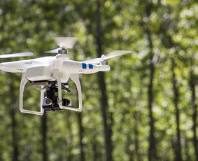 Kitos kategorijos - Dronų/augintinių iškėlimas iš medžių - 3