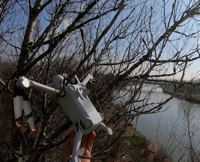 Aplinkos tvarkymas, apželdinimas - Pavojingų medžių pjovimas, medžių pjovimas, kelmų frezavimas - 3