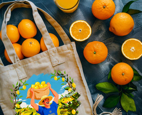 Iliustruotojai - Iliustruoti Žemėlapiai ir Dizainas Turizmo sektoriui - 2