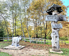 Laisvalaikis, pramogos, turizmas - Gidė Biržuose, kelionių vadovė - 2