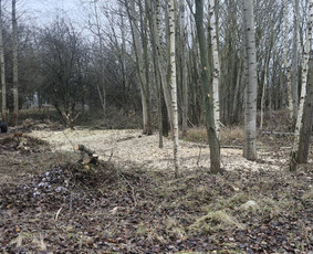 Zoles pjovimas, zemes frezavimas, kelmu salinimas / Mb Žolva / Darbų pavyzdys ID 4198027