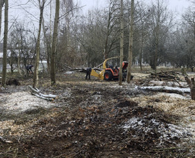 Zoles pjovimas, zemes frezavimas, kelmu salinimas / Mb Žolva / Darbų pavyzdys ID 4198029