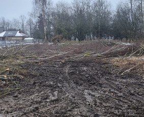 Zoles pjovimas, zemes frezavimas, kelmu salinimas / Mb Žolva / Darbų pavyzdys ID 4198033