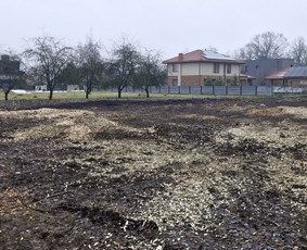 Zoles pjovimas, zemes frezavimas, kelmu salinimas / Mb Žolva / Darbų pavyzdys ID 4198037