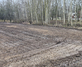 Aplinkos tvarkymas, apželdinimas - Medziu ir saku genejimas, pjovimas, zemes frezavimas - 4