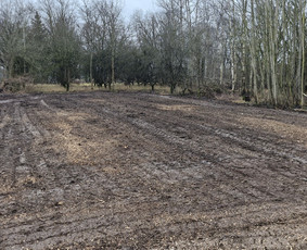 Aplinkos tvarkymas, apželdinimas - Medziu ir saku genejimas, pjovimas, zemes frezavimas - 3