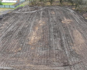 Aplinkos tvarkymas, apželdinimas - Medziu ir saku genejimas, pjovimas, zemes frezavimas - 2