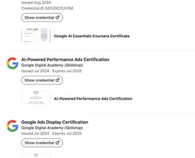Meta Ads, Google Ads, Socialinių tinklų administravimas / Žygimantas Pocius / Darbų pavyzdys ID 4198907