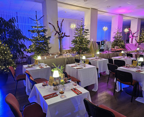 Renginių vedėjai - Vedėjas ir Dj visoje Lietuvoje - 1