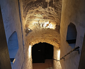 Laisvalaikis, pramogos, turizmas - Lietuviško vyno ir midaus edukacijos - 3