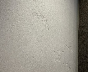 Interjeras, baldai - Unikalus interjero sienų/lubų dekoravimas - 4