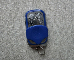 Aplinka, sodas - Pultelis nuo slagbaumo - 1