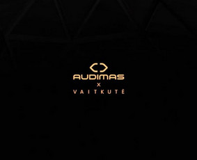 Video klipų kūrimas - Video Montavimas ir Animacija (aukštos kokybės) + Seo - 2