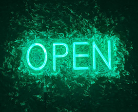 Led neon ženklų, iškabų gamyba / Virmantas / Darbų pavyzdys ID 4202285