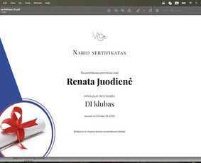 Paslaugos verslui - Virtuali asistentė techniniams darbams - 1